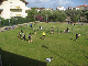 IMG_1788