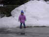 IM000210.jpg (96769 byte)