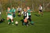 hafslund19.JPG (86923 byte)