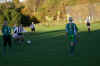 hafslund21.JPG (65280 byte)