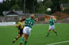 tollnes7.JPG (46438 byte)